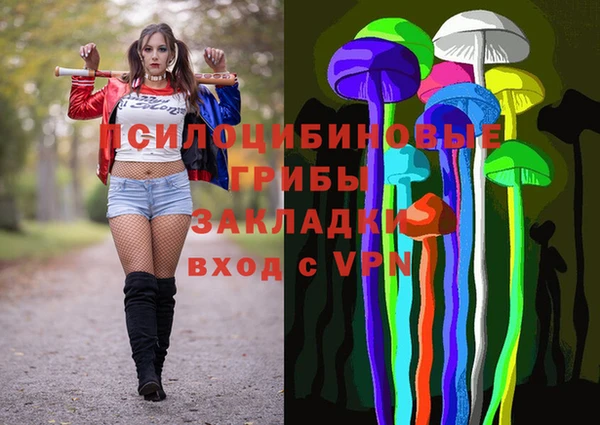 ГАЛЛЮЦИНОГЕННЫЕ ГРИБЫ Верея